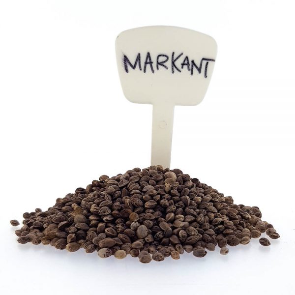 Markant CBD/Hemp Seeds Original Mothers Company